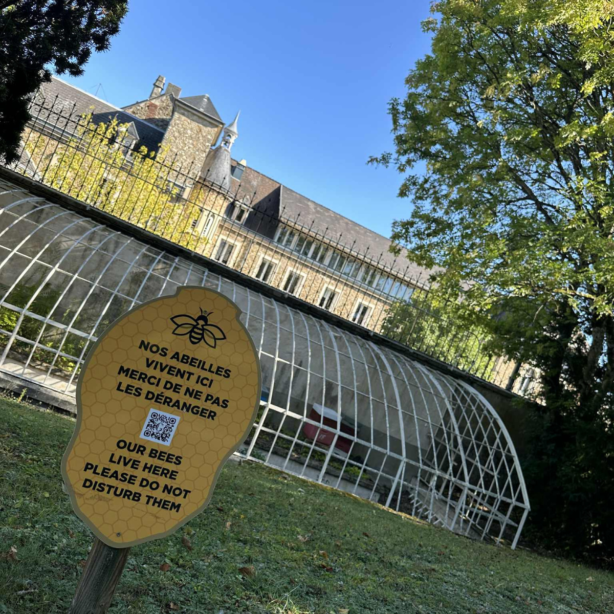 Les abeilles du Parc Gosset : un engagement pour la biodiversité